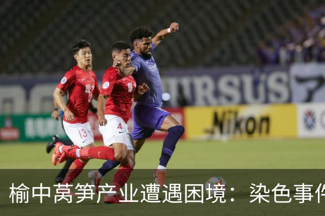 榆中莴笋产业遭遇困境：染色事件引发价格暴跌与商户停采